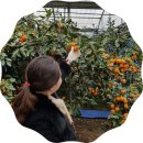 정우농장2 이미지