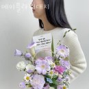 메이대치 이미지