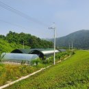 양강농장 이미지