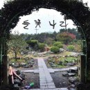 함덕초등학교선인분교 이미지