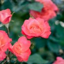 바른뜸한의원 이미지