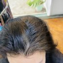 미모미장헤어샵본점 | 대구미용실 봉덕동 휘유헤어 본점 로레알염색과 손상모발복구 영양케어 클리닉