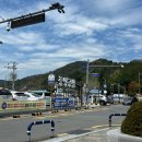 민주로 | 부산 민주공원 겹벚꽃 만개 아이와 함께 다녀온 후기