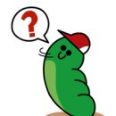 그린티엔씨