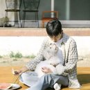 설램