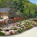 노류마을 이미지