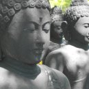 블루클리프 Daum카페