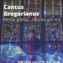 [Cantus Gregorianus] 8월 라틴어로 봉헌되는 그레고리오성가 미사 이미지