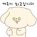 윙키스