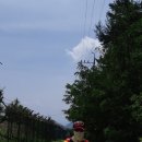 육신사(신) 이미지