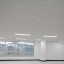 수인약국 이미지