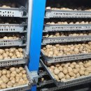 욱이네 농장 이미지