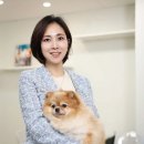 어반퍼피 이미지