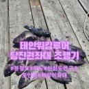 당진호스릴-51 | 2박3일 캠낚 후기(워킹루어,당진권좌대)