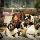 쥬쥬클럽 이미지