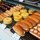 목적지9 이미지