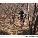 개폼난다 이미지