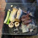 [스페셜 포토덤프] 서울근교 뚜벅이 추천 캠핑장, 물왕호수캠핑 🔥