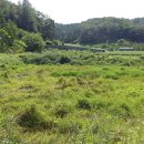 이서부동산중개사무소 이미지