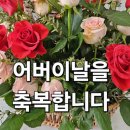 🪷 어버이날을 맞아 🪷 천축잉어(아버지) 태평양 연안에천축 잉어라는 바다 고기가 있습니다. 이미지