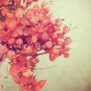 남자친구 이미지