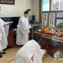 남원 진기리 느티나무 | 보절면 진기리 느티나무 당산제 개최