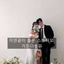 더블유(W)헤어 | 서울 웨딩촬영, 자연광이 좋은 렌탈 스튜디오 가든더블유에서 촬영한 후기