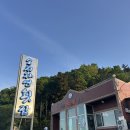 여수 현지인 맛집 '소치자연횟집' 내 최애 끝판왕 횟집