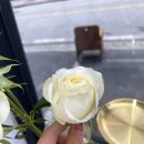 TAEY Coffee Roasters(태이 커피 로스터스) | 경기광주 송정동 밀목 카페 원두납품 전문 태이 커피 로스터스