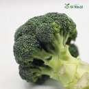 브로콜리