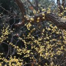 에덴요양병원 이미지