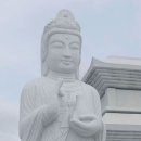 안심2리 Daum카페
