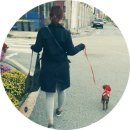 원더우멍 | 로또 데리고 원더우멍 : 두정동 원더우멍 다녀왔어요 ♪