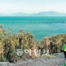 풍차백합바지락죽큰집 이미지