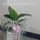 문소장공인중개사사무소 이미지