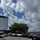 해물&빼떼기 | 거제 전현무계획2 맛집, "코끼리랑 왕우럭(구 해물빼떼기)"