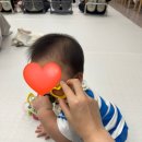 희숙농장 | 9월 진행할게요…