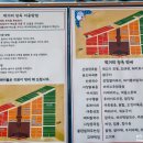 대흥구구식당 이미지