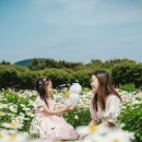 제주가족의 시간 이미지