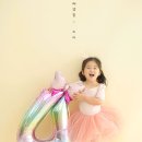 오브제293