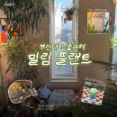 코지그루밍 | [부산] 귀여운 고양이와 식물이 있는 조용한카페 추천 부산대 밀림