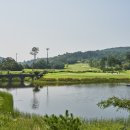 디아너스 이미지