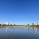 몽통구리 이미지