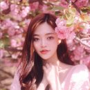솜이랑 이미지