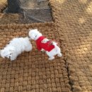 마들스타디움 이미지