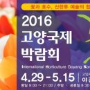 국제셀프세차장 이미지