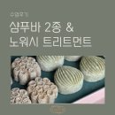 수석1통 | 샴푸바 2종, 노워시 트리트먼트 클래스 수업후기