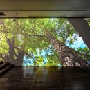 세종문화회관 미술관(세종미술관) 이미지