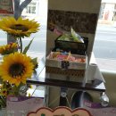 다원동물병원 이미지