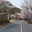 영동신항리삼존불입상 앞 주차장 | 금산 보곡산골 산꽃술레길. 신안사. 홍도화마을